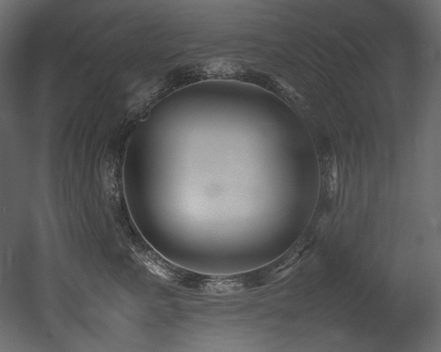 X0000052990619200507081151
