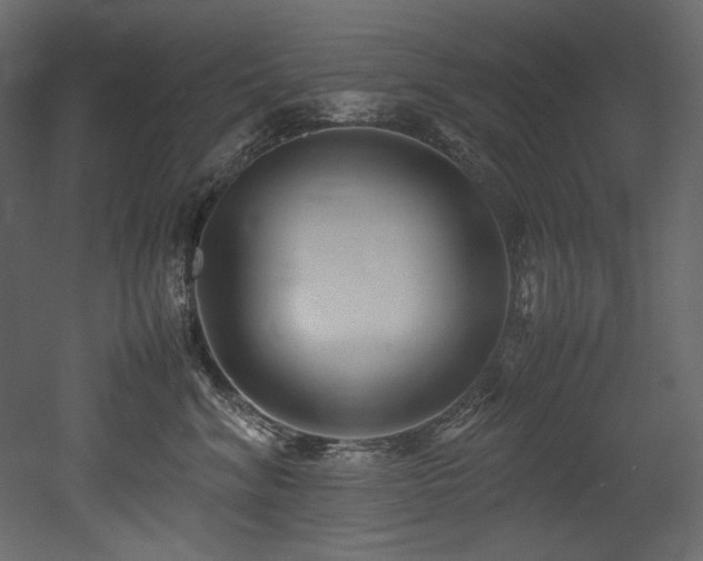 X0000052990620200507081151