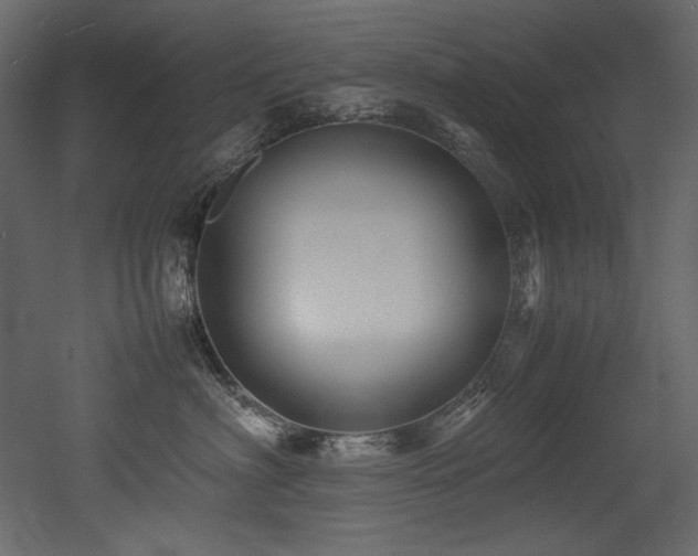 X0000052990622200507081151