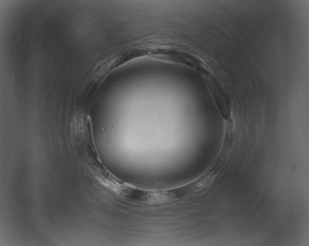 X0000052990623200507081151