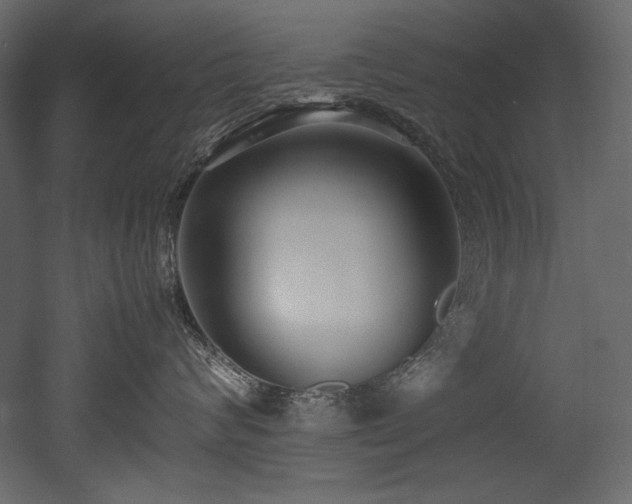 X0000052990624200507081151
