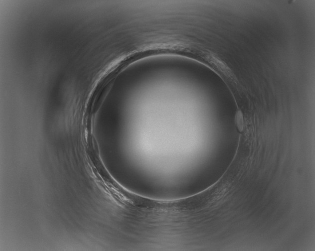 X0000052990628200507081150