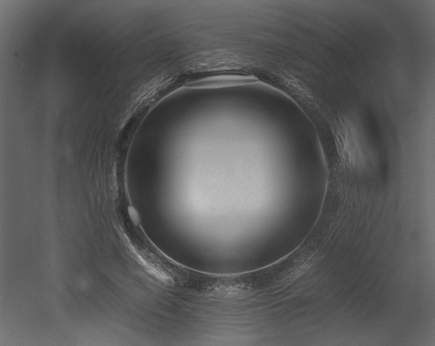 X0000052990638200507081150