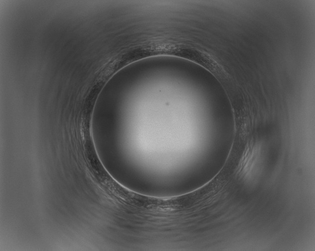 X0000052990643200507081150