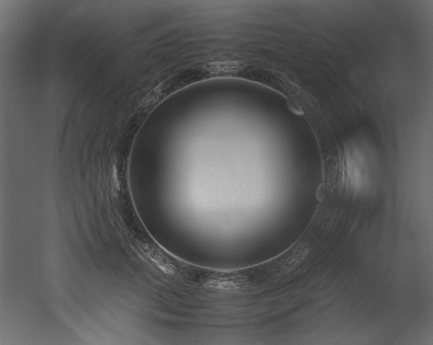 X0000052990655200507081150