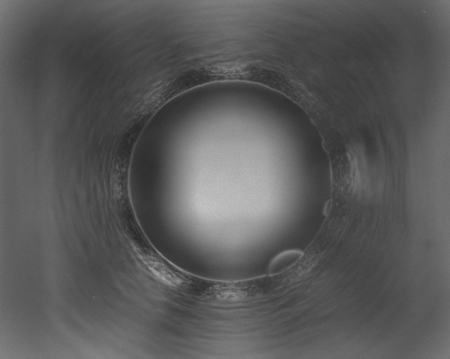 X0000052990658200507081150