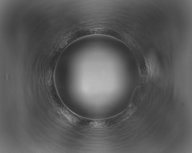 X0000052990660200507081150