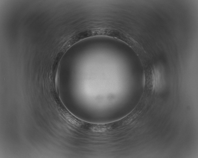 X0000052990661200507081150