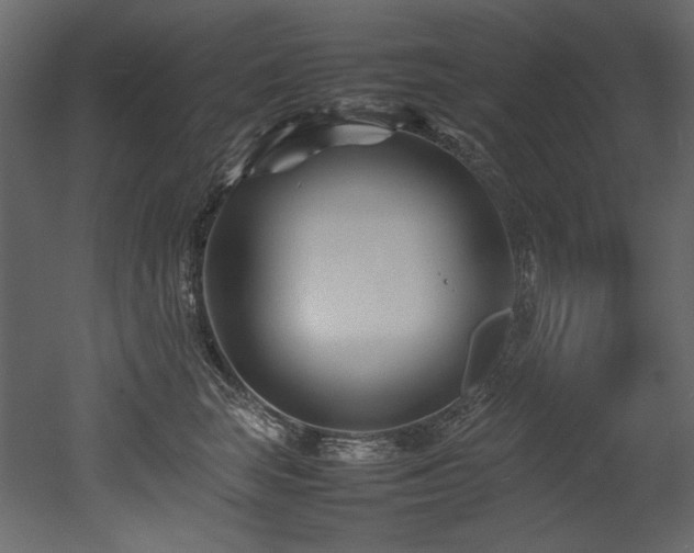 X0000052990663200507081150