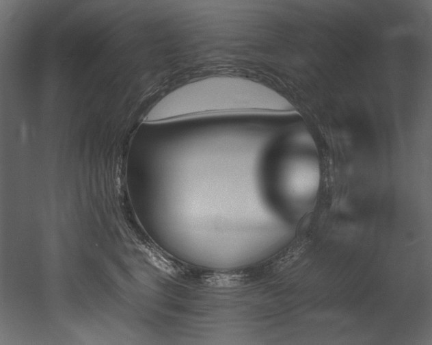 X0000052990664200507081150