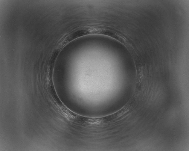 X0000052990667200507081151
