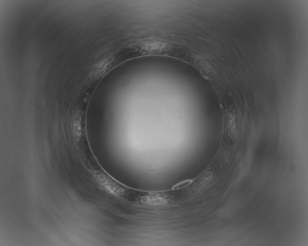 X0000052990668200507081151