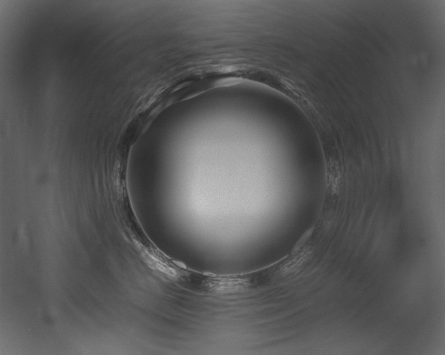 X0000052990670200507081151