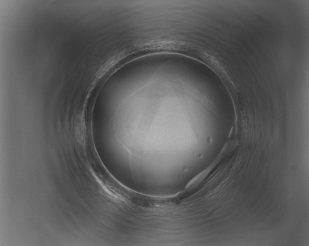 X0000052990674200507081150