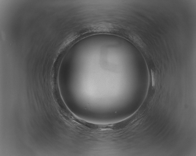 X0000052990675200507081150