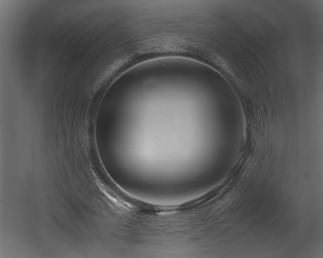 X0000052990677200507081150