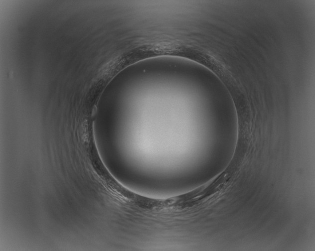 X0000052990689200507081150