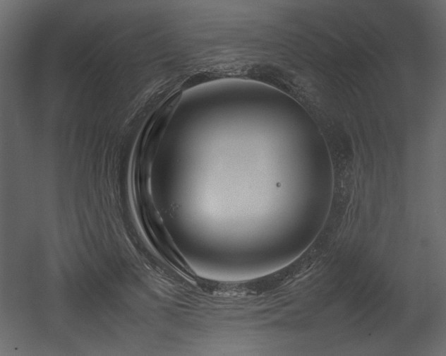 X0000052990693200507081149