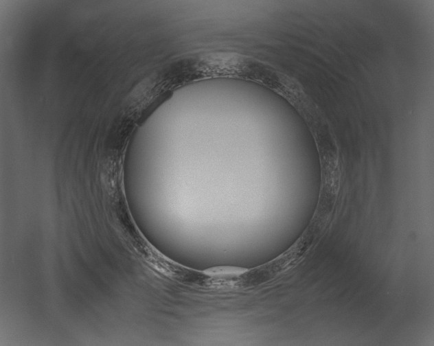 X0000052990701200507081149