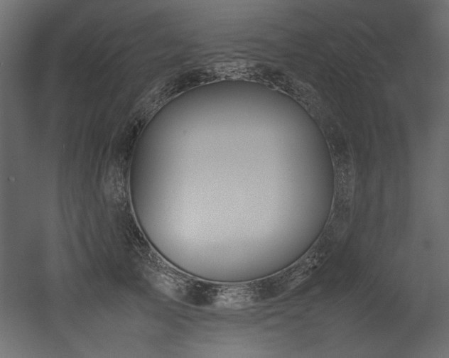 X0000052990705200507081149