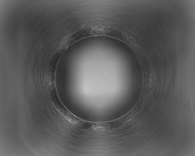 X0000052990706200507081149