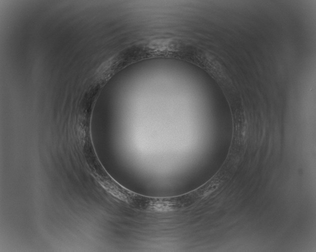 X0000052990710200507081149