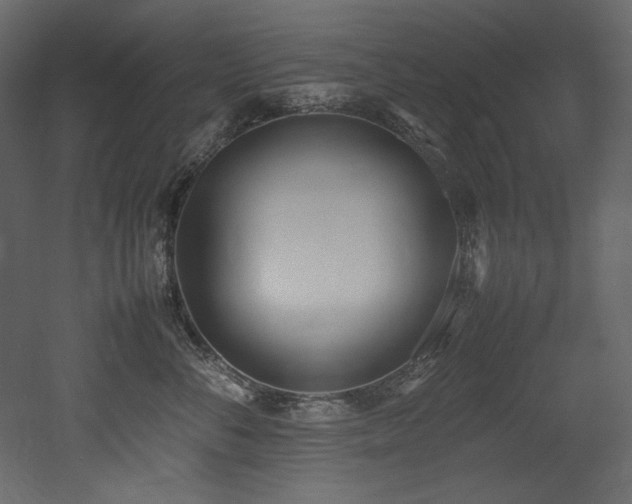 X0000052990716200507081149