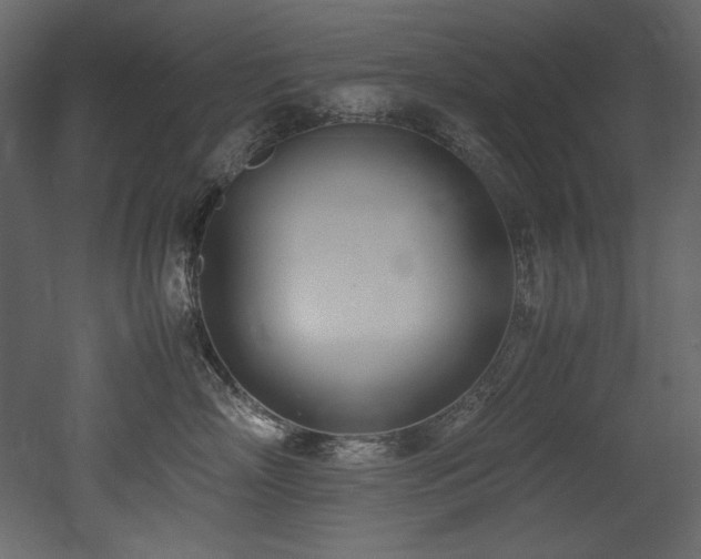 X0000052990718200507081149