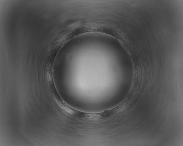 X0000052990719200507081149