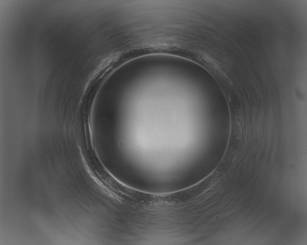 X0000052990734200507081148