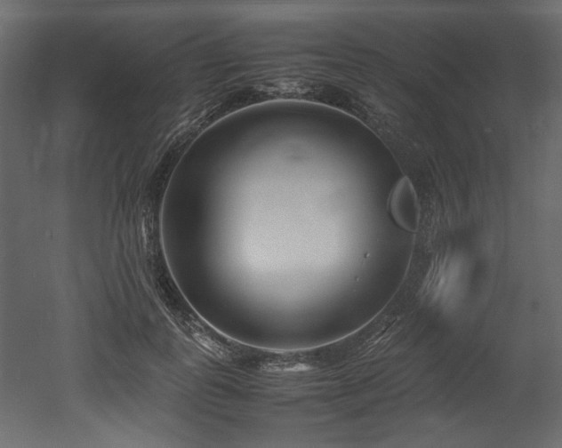 X0000052990747200507081149
