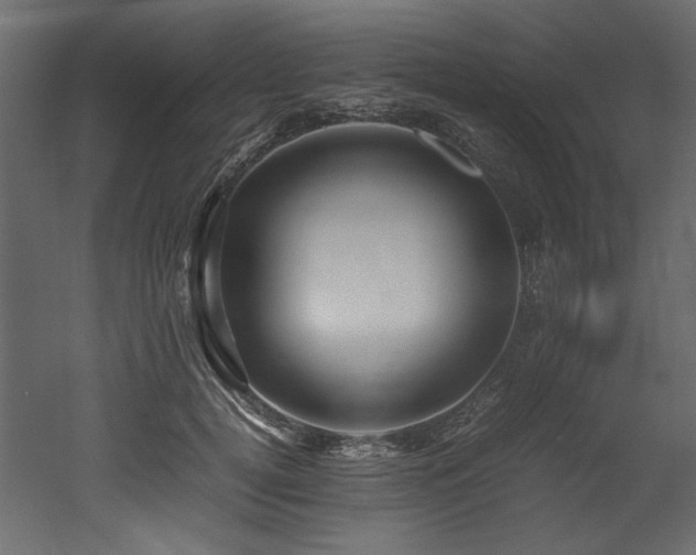 X0000052990752200507081149