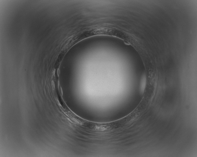 X0000052990753200507081149