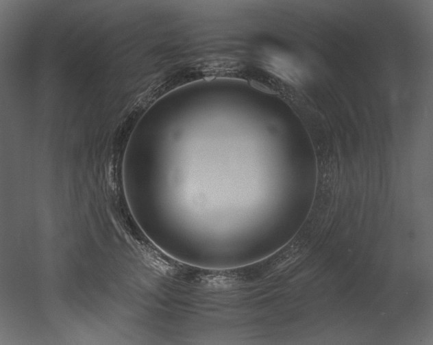 X0000052990755200507081149