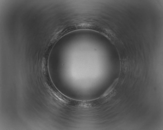 X0000052990760200507081149