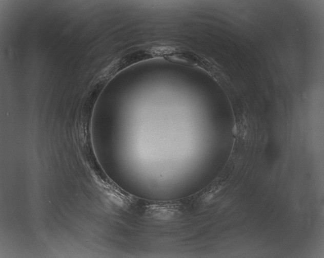 X0000052990763200507081149