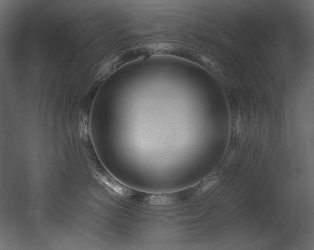 X0000052990766200507081149