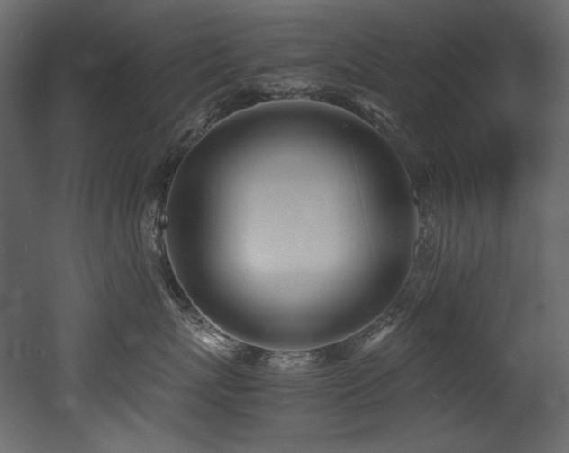X0000052990767200507081149
