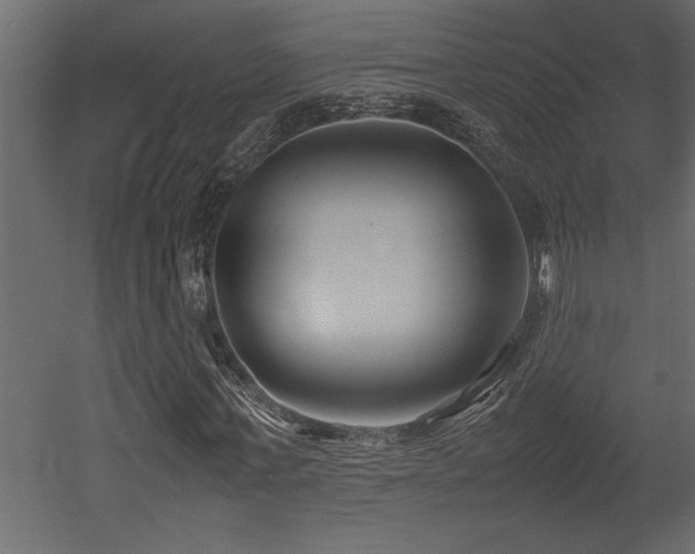 X0000052990771200507081148