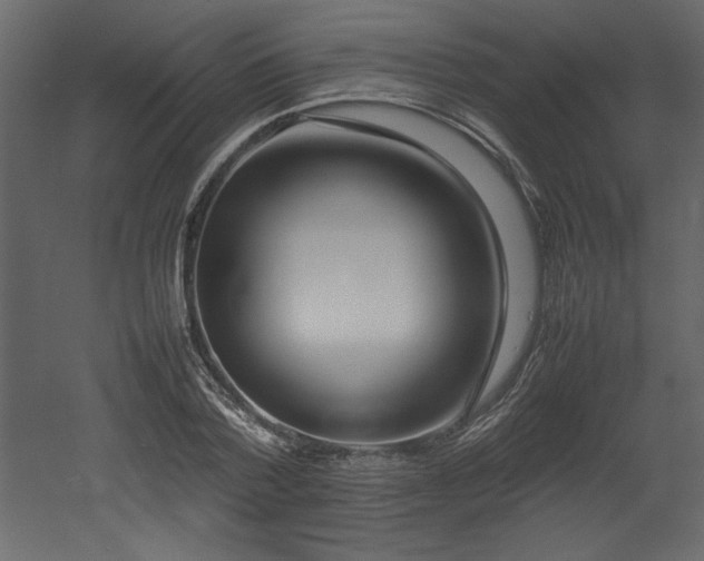 X0000052990788200507081148