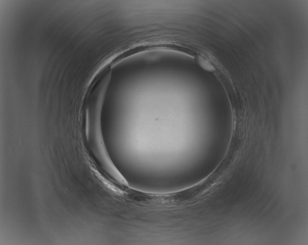 X0000052990789200507081148