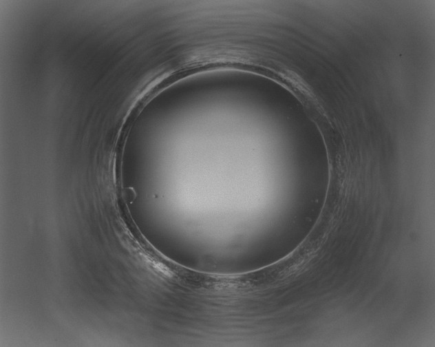 X0000052990790200507081148
