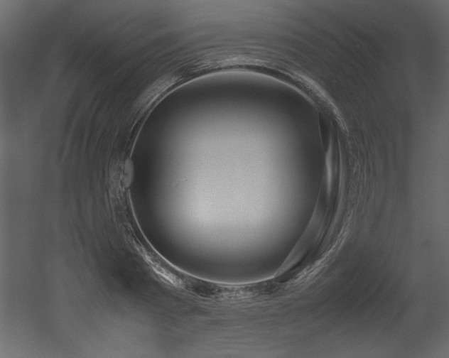 X0000052990793200507081148