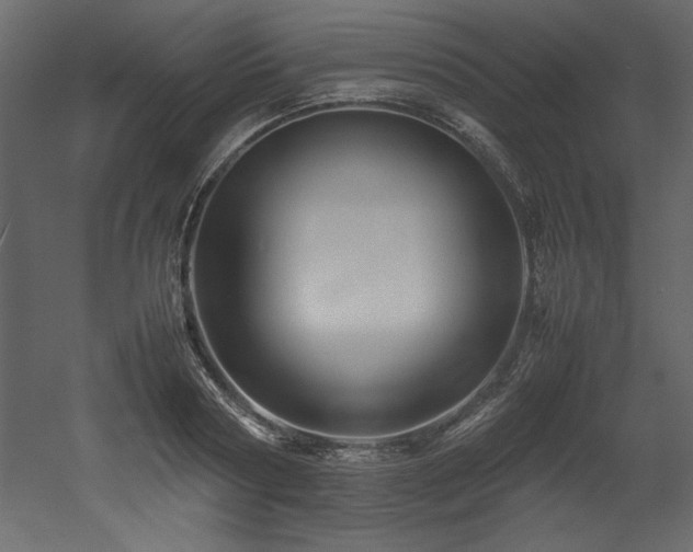 X0000052990794200507081148