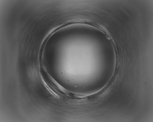 X0000052990795200507081148