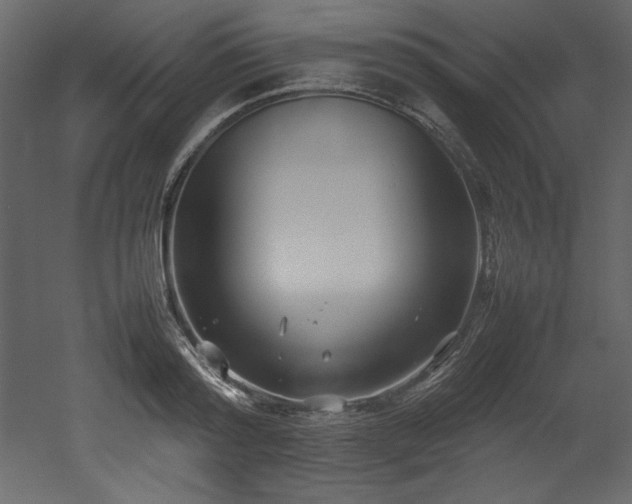 X0000052990796200507081148