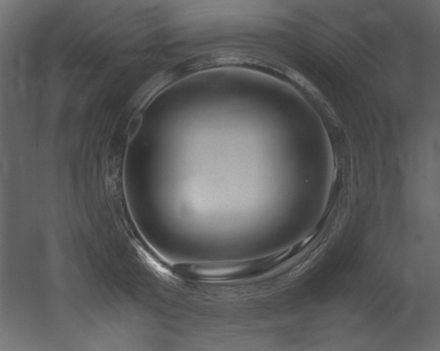 X0000052990801200507081148