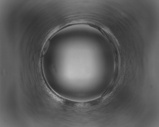 X0000052990805200507081148