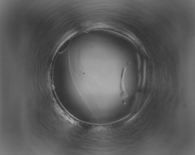 X0000052990806200507081148