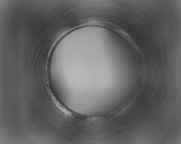 X0000052990808200507081147